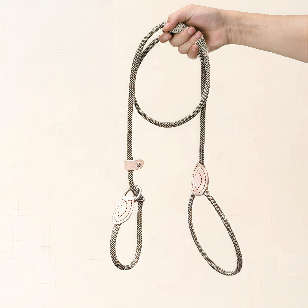 Lanière Chien P Anti - Pulsåde : Design Réglable, Matériau Durable, Tous Types de Chiens