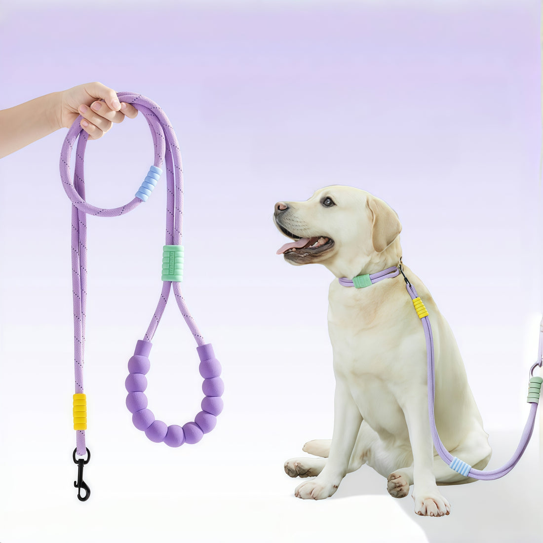 Lot Collier & Laisse Anti-Fugue en Nylon pour Petits/Moyens Chiens