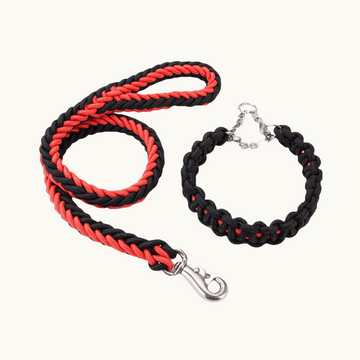Lot Collier Choke Chain & Laisse pour Chiens Moyens et Grands | Sécurité et Contrôle