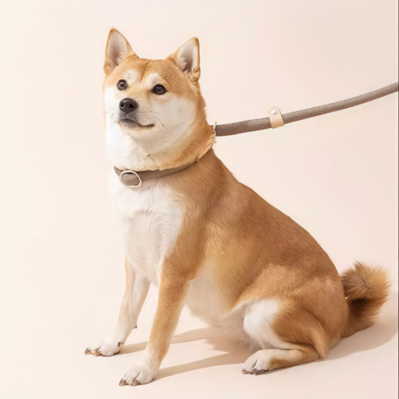 Lanière Chien P Anti - Pulsåde : Design Réglable, Matériau Durable, Tous Types de Chiens