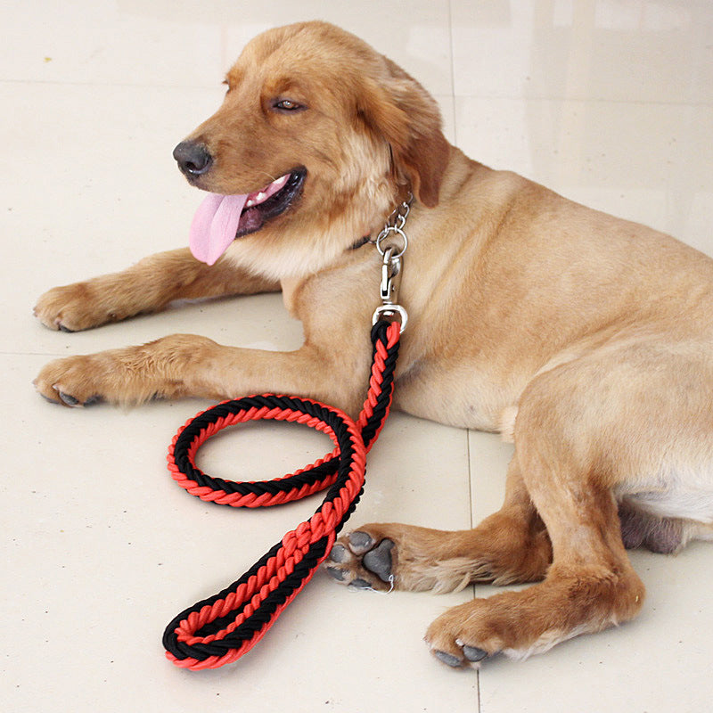 Lot Collier Choke Chain & Laisse pour Chiens Moyens et Grands | Sécurité et Contrôle