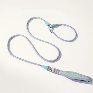 Collier-laisse intégré