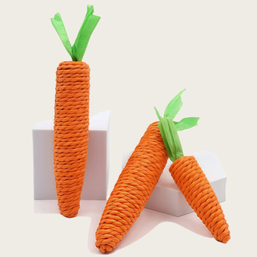 Pack de 2 Jouets Carotte pour Chat - Tressé Main Écologique en Papier Recyclé | Griffoir & Mordre Résistant | Anti-Stress