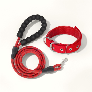 Lot Collier & Laisse Anti-Fugue Réfléchissant pour Chien | Sécurité Renforcée (Jour & Nuit)
