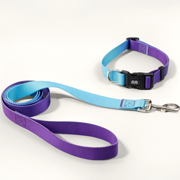 Lot Collier & Laisse en Nylon Dégradé pour Chien | Style Tendance et Confort