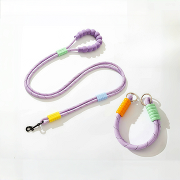Lot Collier & Laisse Anti-Fugue en Nylon pour Petits/Moyens Chiens