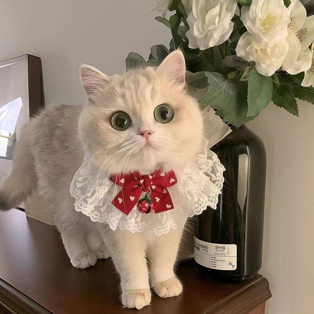 Lace Bow Tie Cat Collar - Adjustable & Elegant